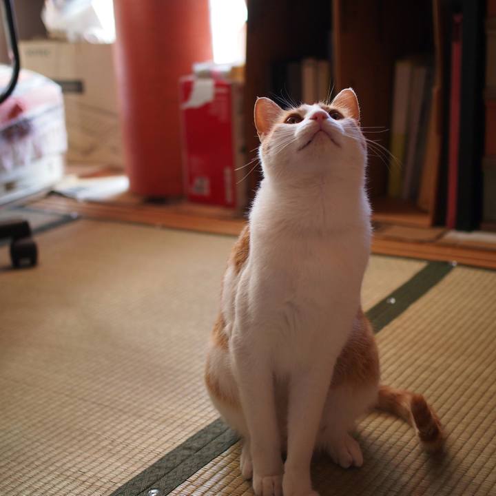 A73b96fc 189c 4ec5 9e20 b12684601772