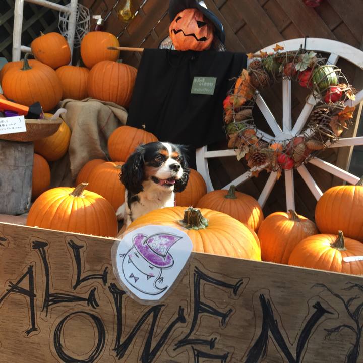 A73bae35 44f9 442a b6ba 6dcc109f9b5f