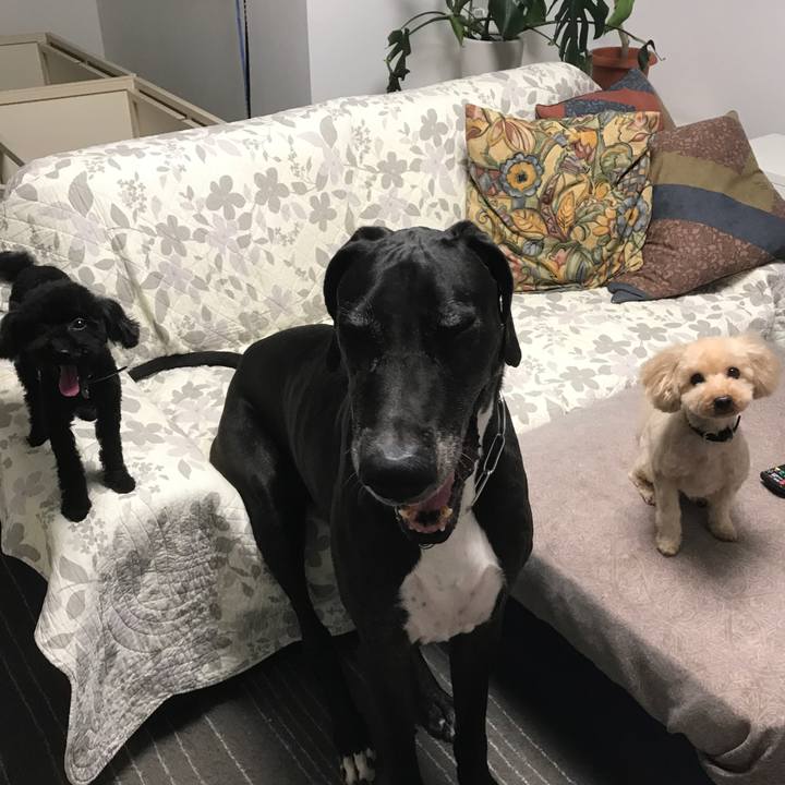 A73bc272 82a6 40bf 9c1c 433d1a07c2f2