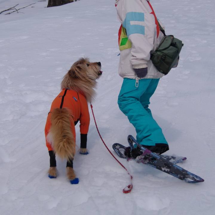 A73bf859 1879 4a12 bafc b6bc953a761e