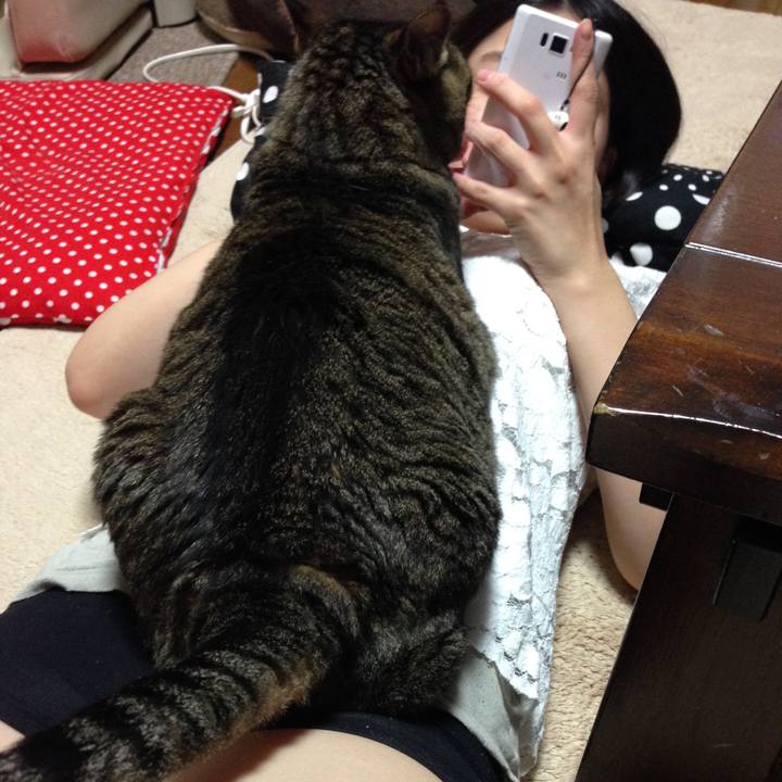 A73c0ead edb1 4ea6 bbc4 76ef605994d5