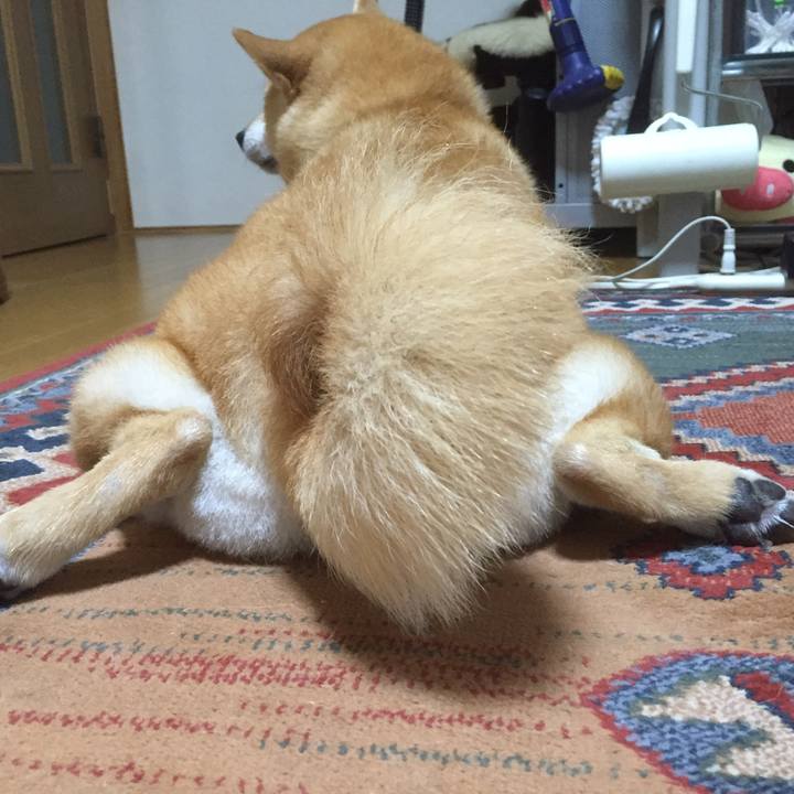 A73c3974 25d3 4d84 8be9 f46059daa521