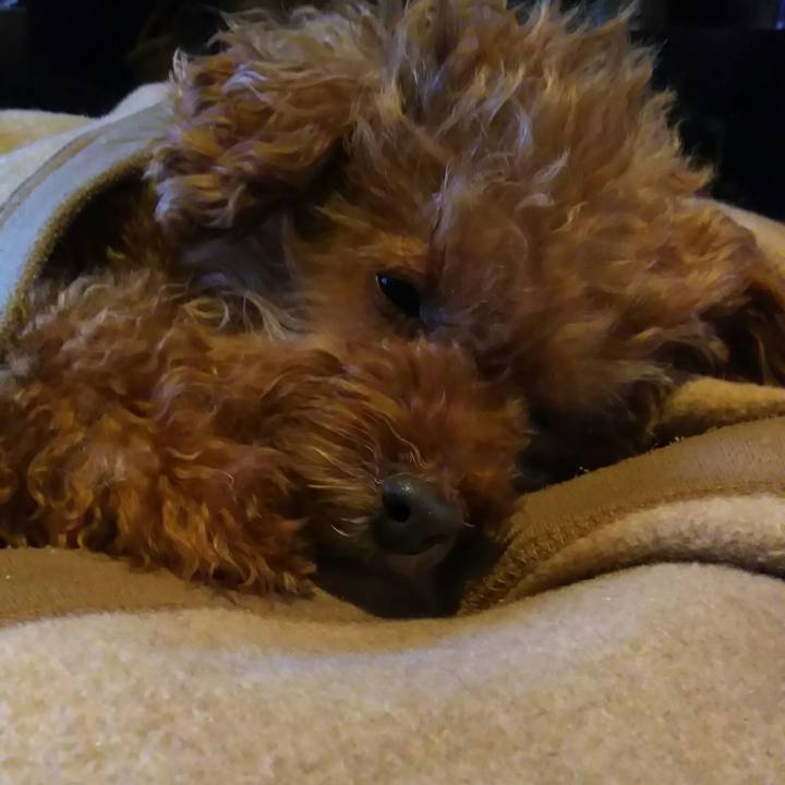 A73caed4 2328 4600 b7f3 b09bc7938258