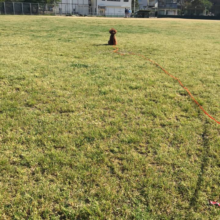 A73d4ad0 c92a 41a1 b60a da8d03d95409