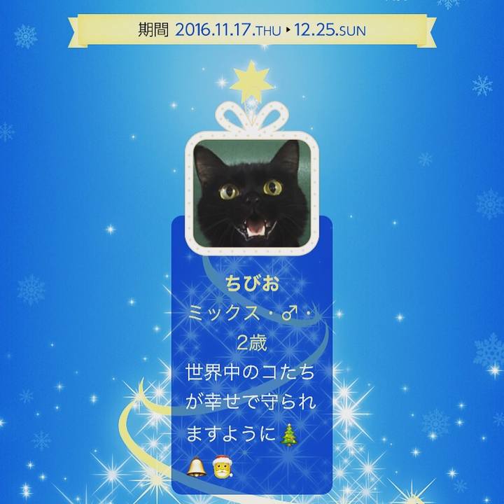 A73d7f1f d697 4a92 af51 62deacece165