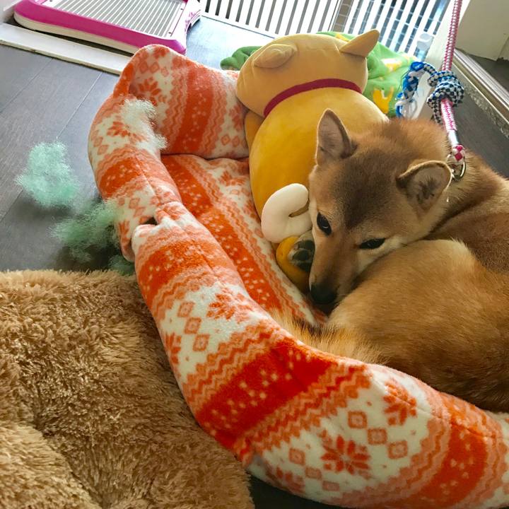 A73d88ed 5171 477d 8e1b 51fff58e52d8