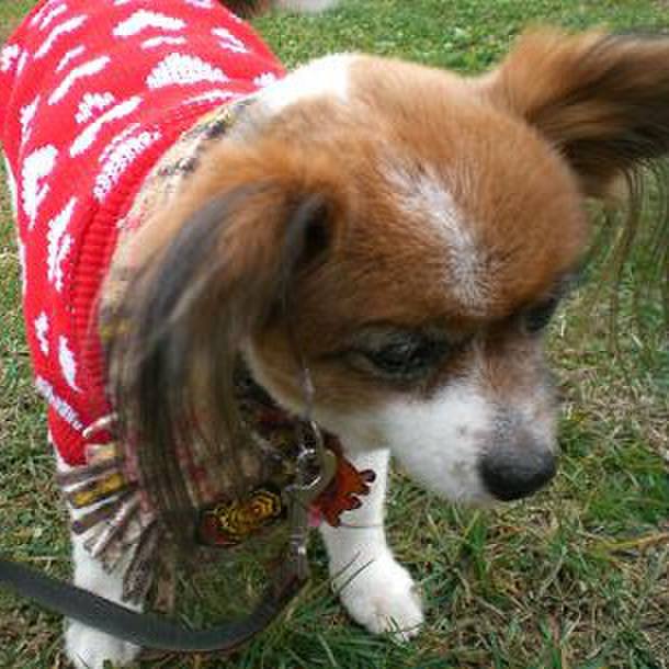 A73dbca0 b34a 47a9 80fc 3750ab9ab50a