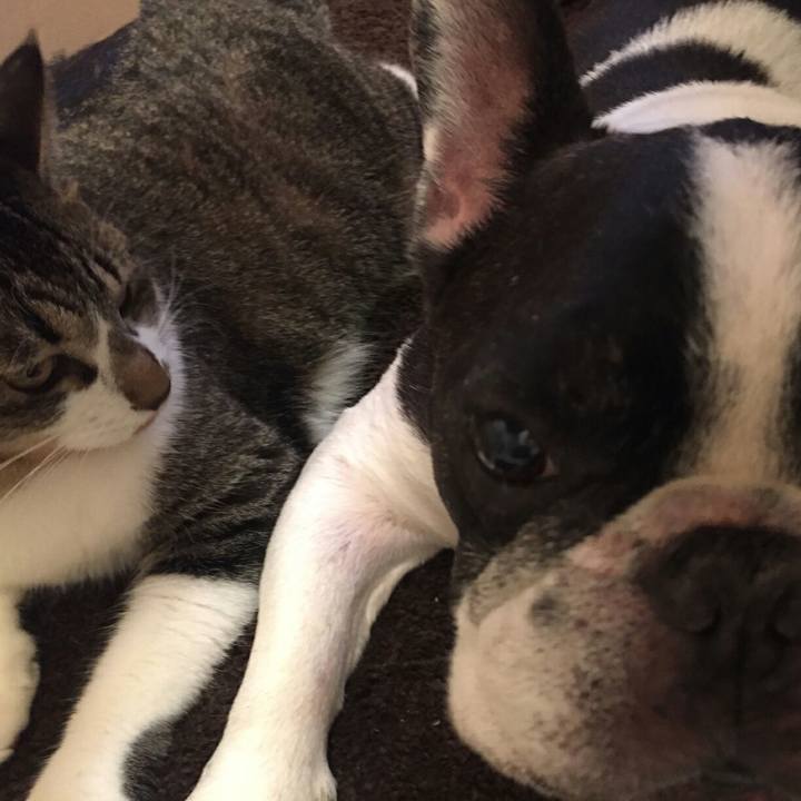 A73dfde4 d1cb 406a b1f2 3658a07a22e5