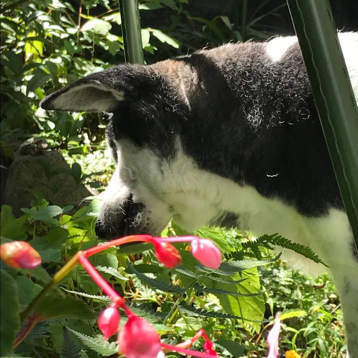 A73e51b2 e84e 4dc6 8738 f9df4b37e25b