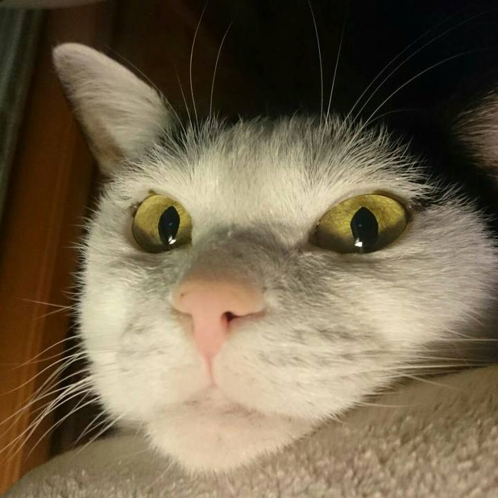 A73e7199 c7bc 40ab be4f 81db2a75f6e1