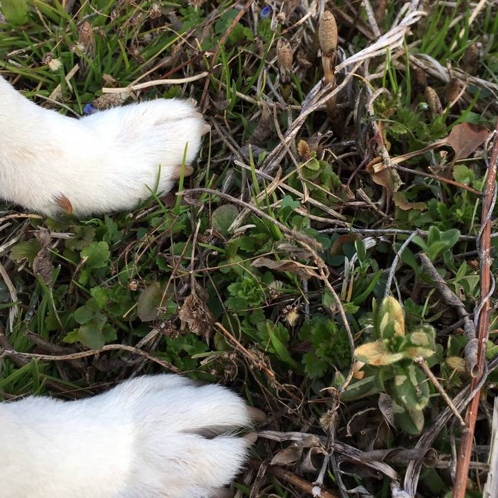 A73e8130 1490 4332 9f82 8ca49c88dd5b