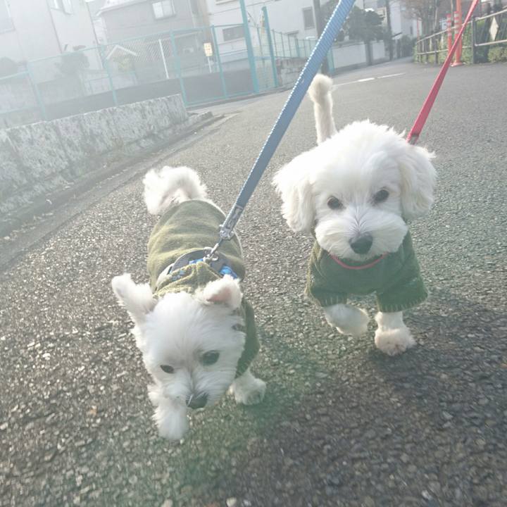 A73ed9f4 9f54 4370 b969 cc9b89ebf5ea