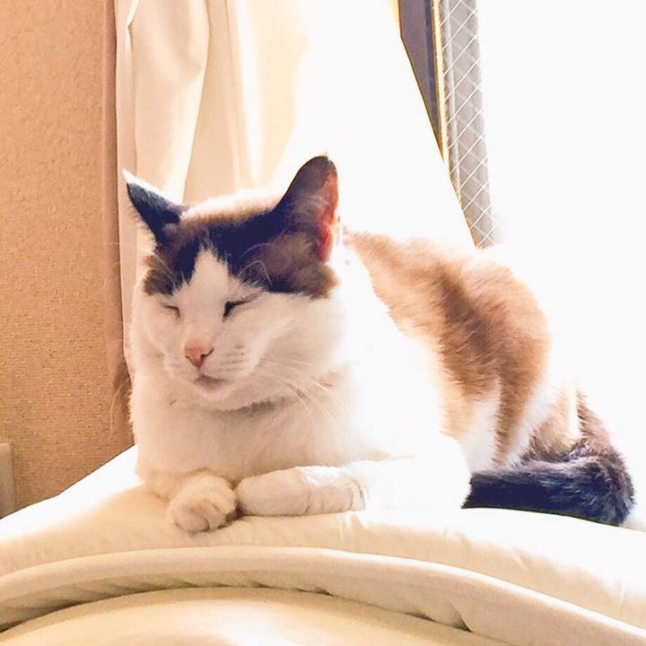 A73edeed edf0 49be 993f 36d49304541d