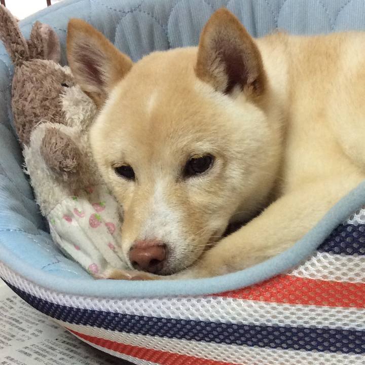 A73f9156 bde5 4f64 b4a4 1a80670cacdc