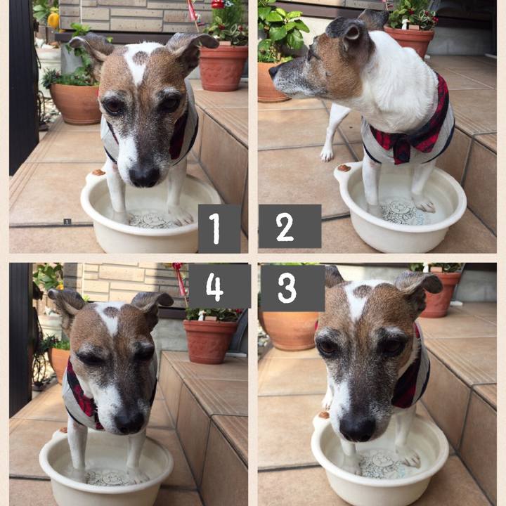 A740306f 1bd9 42e6 97d6 15867fce1911