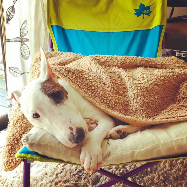 A740567b 2eae 45c8 86d8 6e5b8ccf4dd2