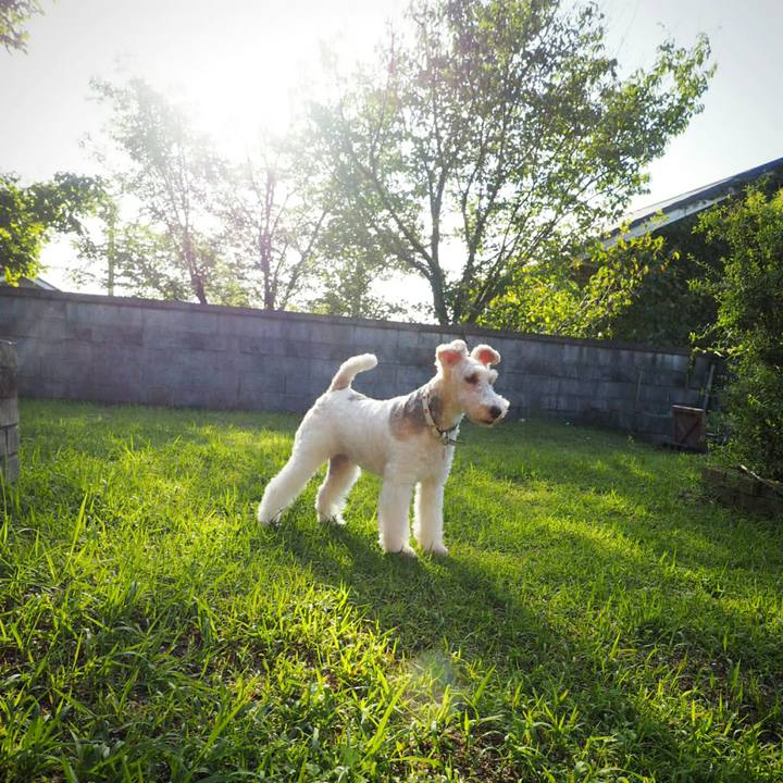 A740ff73 7850 4c2d b504 375c0bc3828e