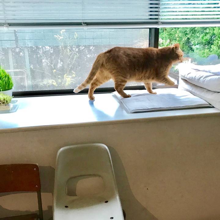 A7410ce1 e05b 4893 b12f 6392e0749d2b