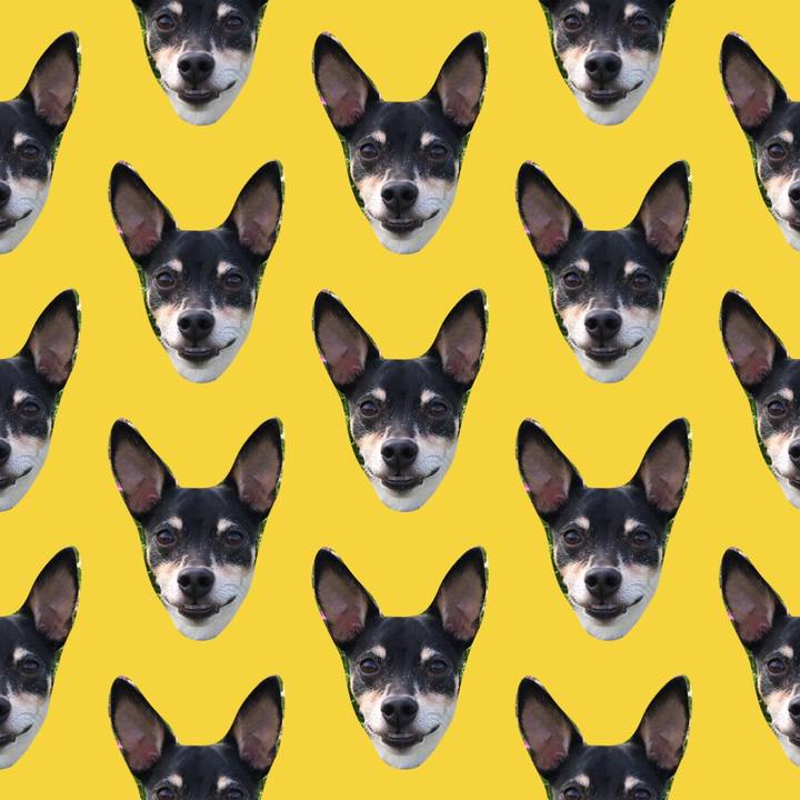 A7413ab0 114b 46fb 9b12 3155f1c3c01b