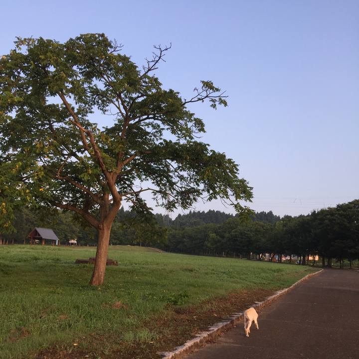 A7415606 fed3 47b9 acc7 9b9dbd4e12e8