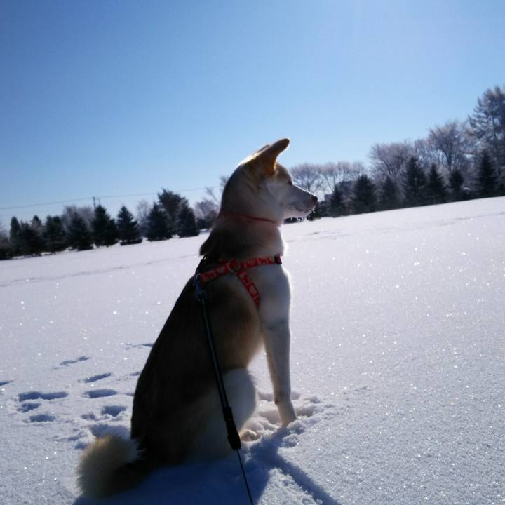 A7417328 d477 485b 930c 74be54a08915