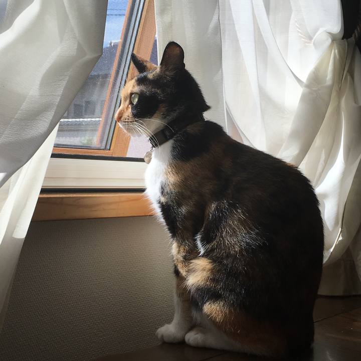 A7423f17 160e 4696 8cd7 8a7be78482a5