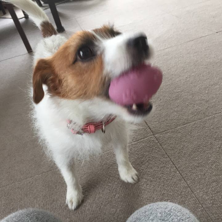 A7429528 6c75 4cac 9ffb 7ce277847f7d