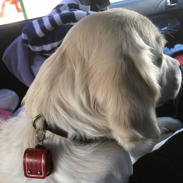 A7434993 2130 43ec 8de1 36cea91f51b6