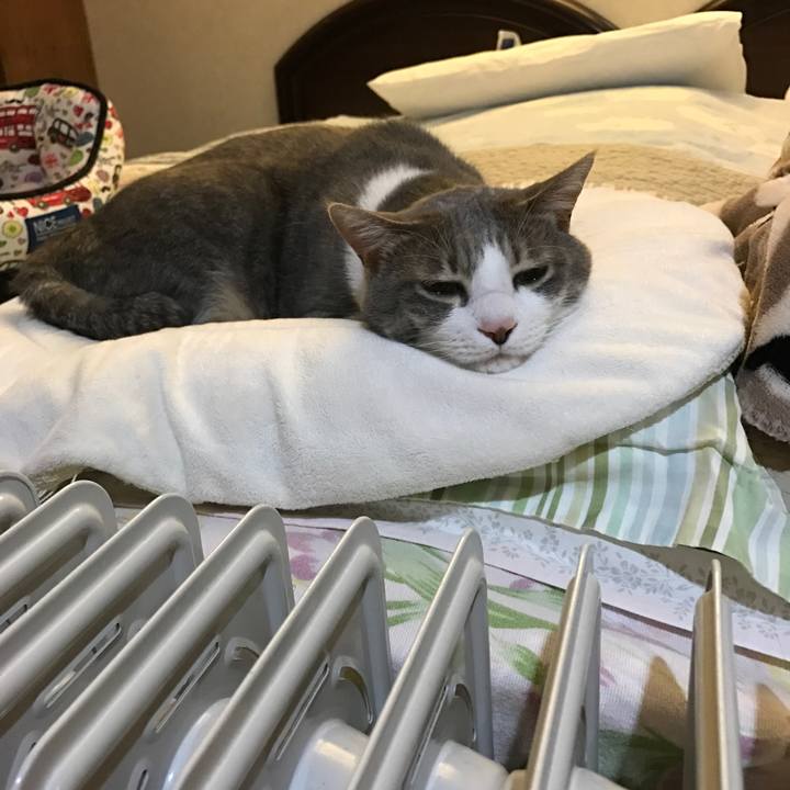 A74384c8 b4ff 4f54 8cd8 733351e2b9db