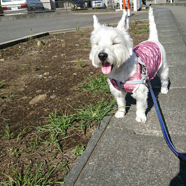 A7445076 b128 4a93 9139 e9a51f64519b