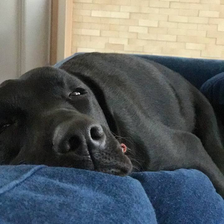 A74552b5 a4f7 4c3e bb81 9f967b7dc75e