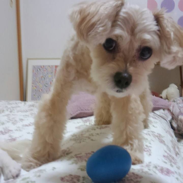 A74607a9 aa8a 432b 8c7a 0b9f067c22e9