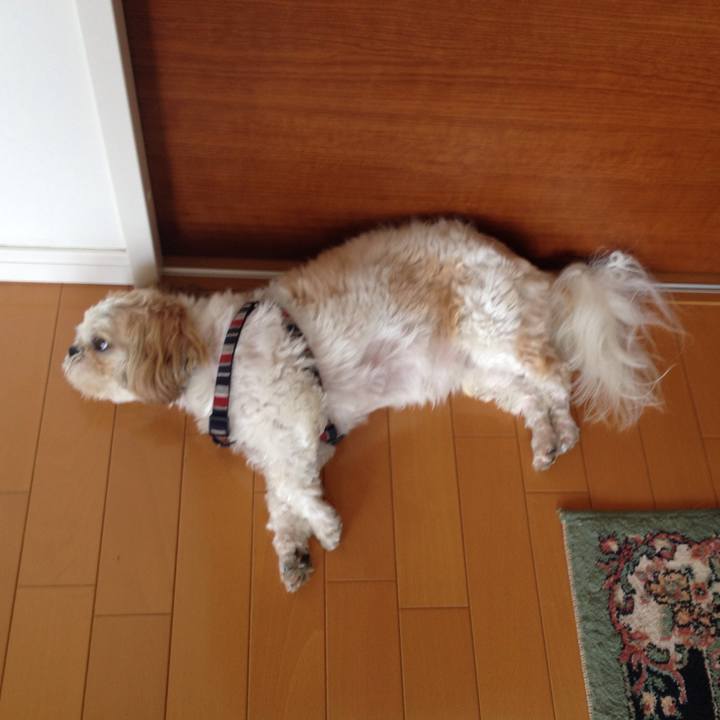 A74685a6 6ef7 4537 8a7e 7397eaa68427