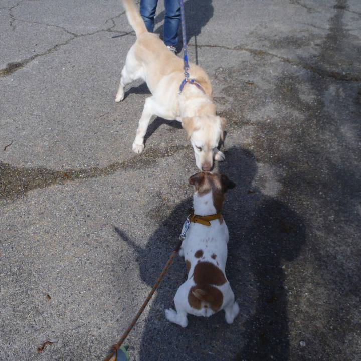 A7475472 95cc 4990 80d1 f799aa7cd9e6