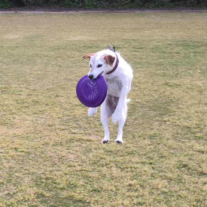 A7475bb9 a918 4228 899d 918411e0c619