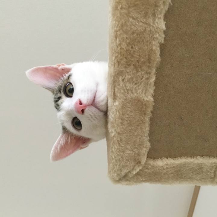 A747791f 17d7 4eac 9c40 7ad6662b3e8e