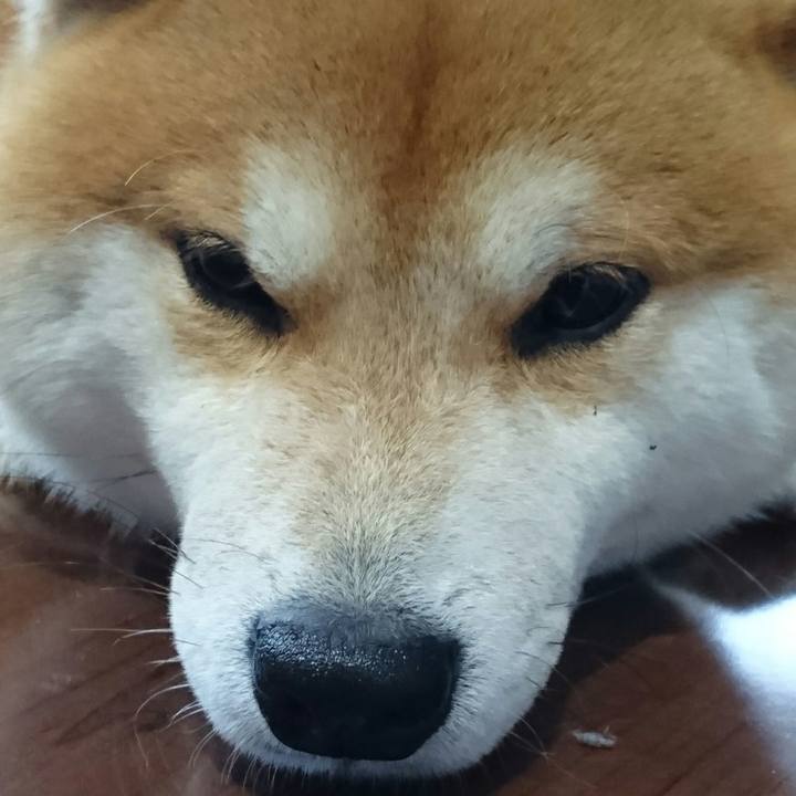 A747c22a ab46 40c3 9955 96cb505b852b