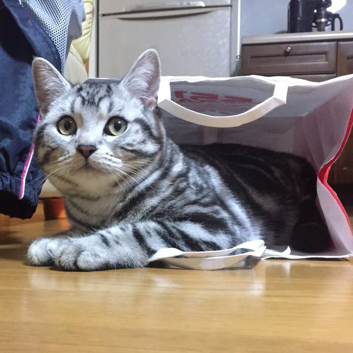 A7481a20 c0ad 42ec b93f 22bba7a88144