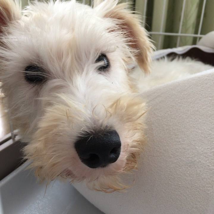 A7483389 64c4 46ca a57d 6c726da3a9e8