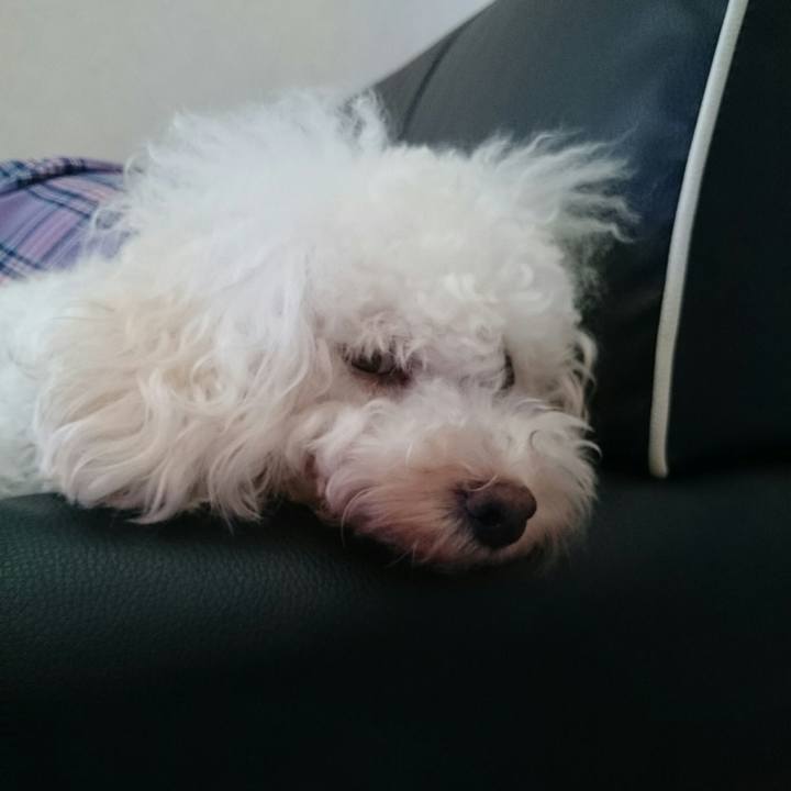 A748ffc5 146b 4c7a a78b a0599c1700c6