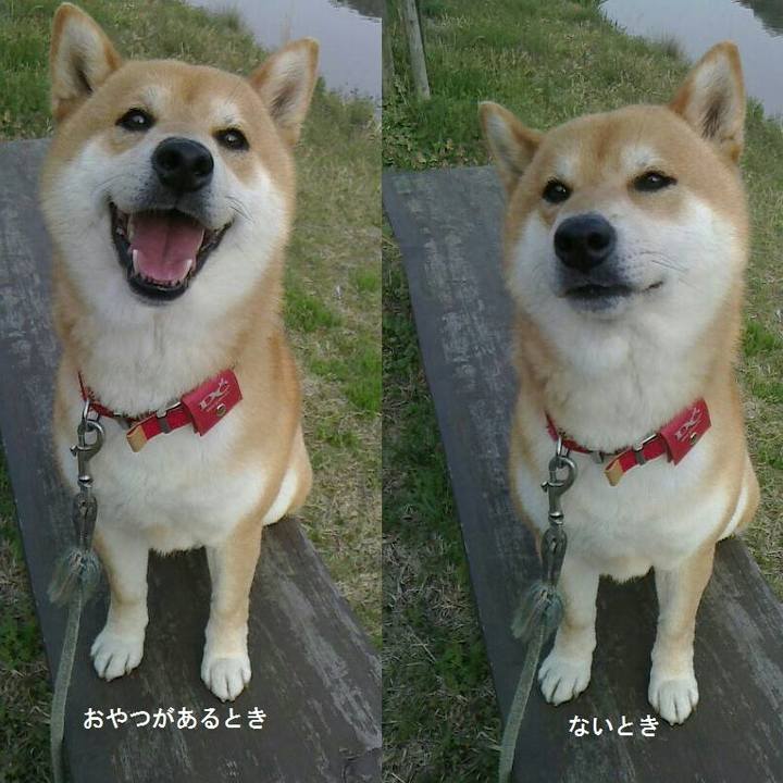 A7496ef9 adee 481f 807b e814829ef5bd