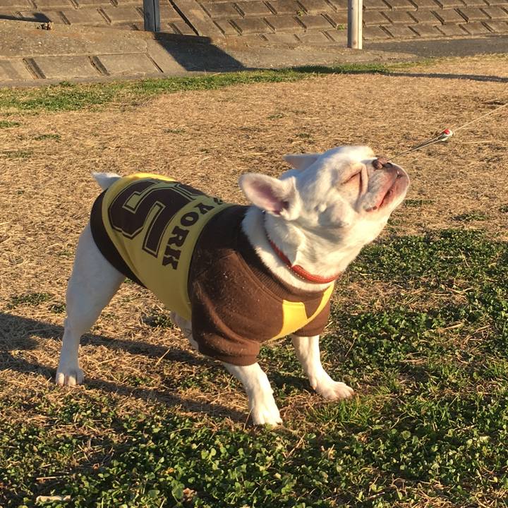 A749f1b0 4fbf 4257 8712 aa22e2331741