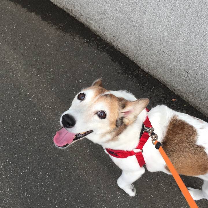 A74a76a2 1e98 4b58 8ec6 d0d7d22fba5f