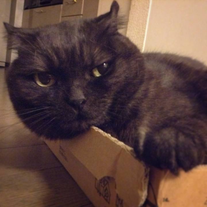 A74b58c9 1fa9 4890 b4b8 3f47d22674c6