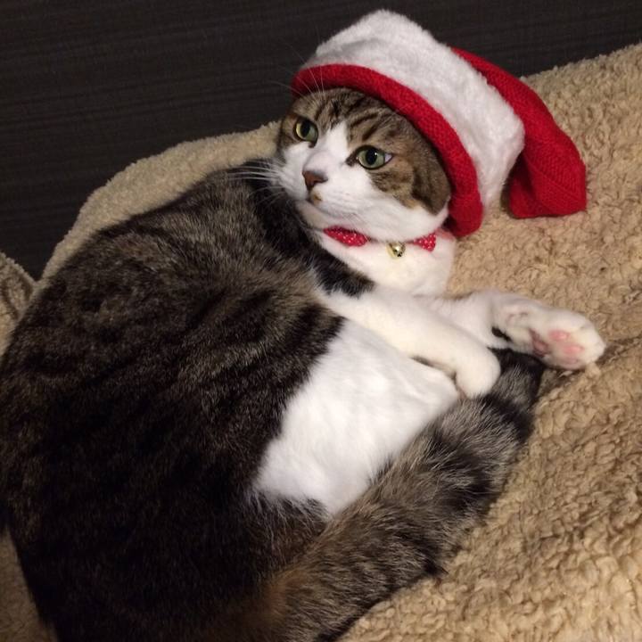 A74c2ae4 5aec 4c27 9bd0 6d1e44bf4db7