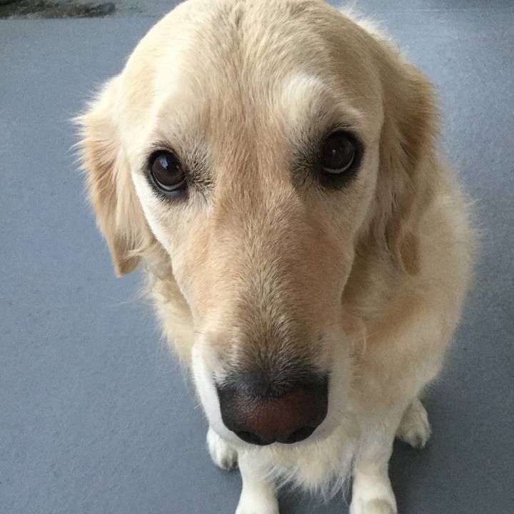 A74c38ac 1c4d 4853 8e2d 3bb68d55d8b9