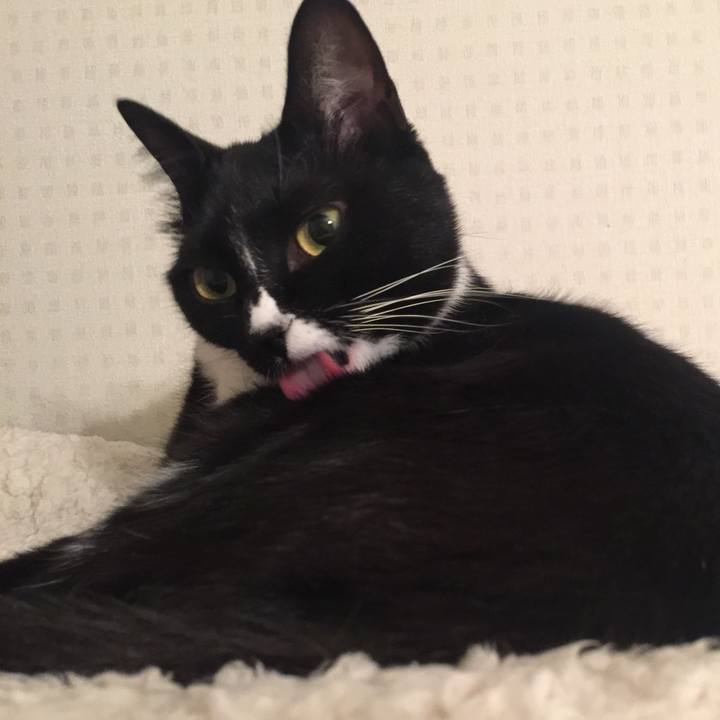 A74c3e32 2c18 4dd8 9dd2 aa2a35f06928