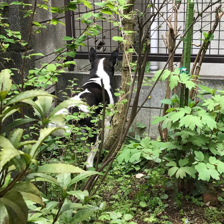 A74ca416 632c 4ad9 bd91 456c36337679