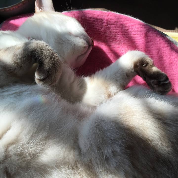 A74d33e1 081a 43f1 a680 1584b0899925