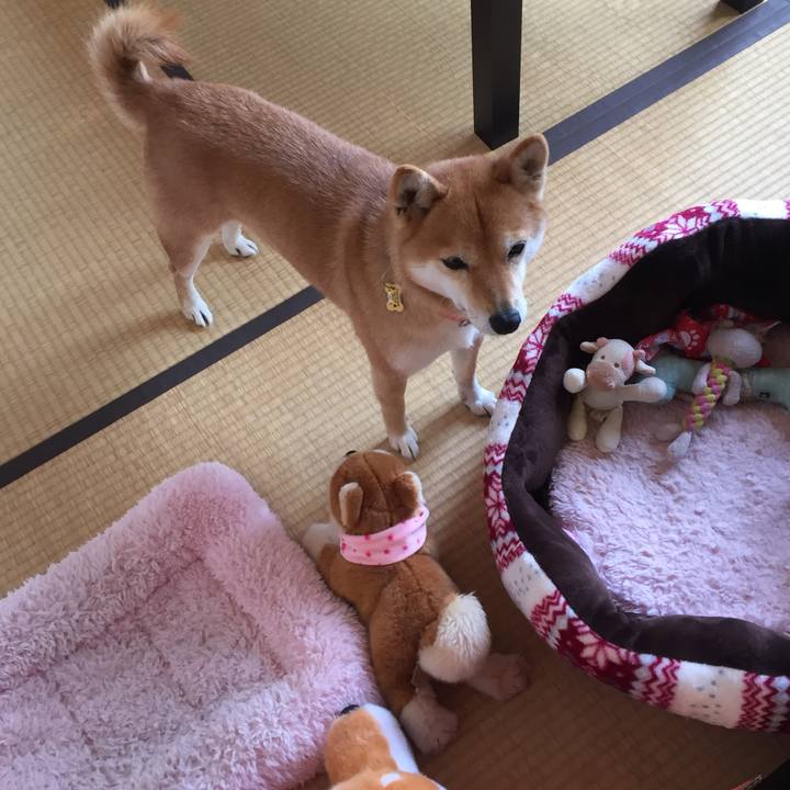 A74da1fc 5fdd 4648 bc94 808fb32ce243